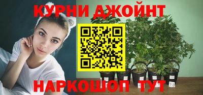 ГАЛЛЮЦИНОГЕННЫЕ ГРИБЫ Боровичи